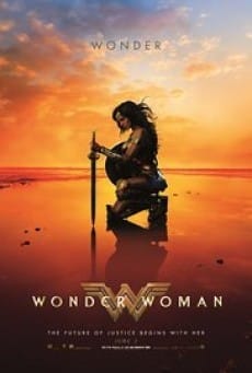Wonder Woman (Commemorative Edition) (2017) วันเดอร์ วูแมน ฉบับย้อนรำลึกสาวน้อยมหัศจรรย์